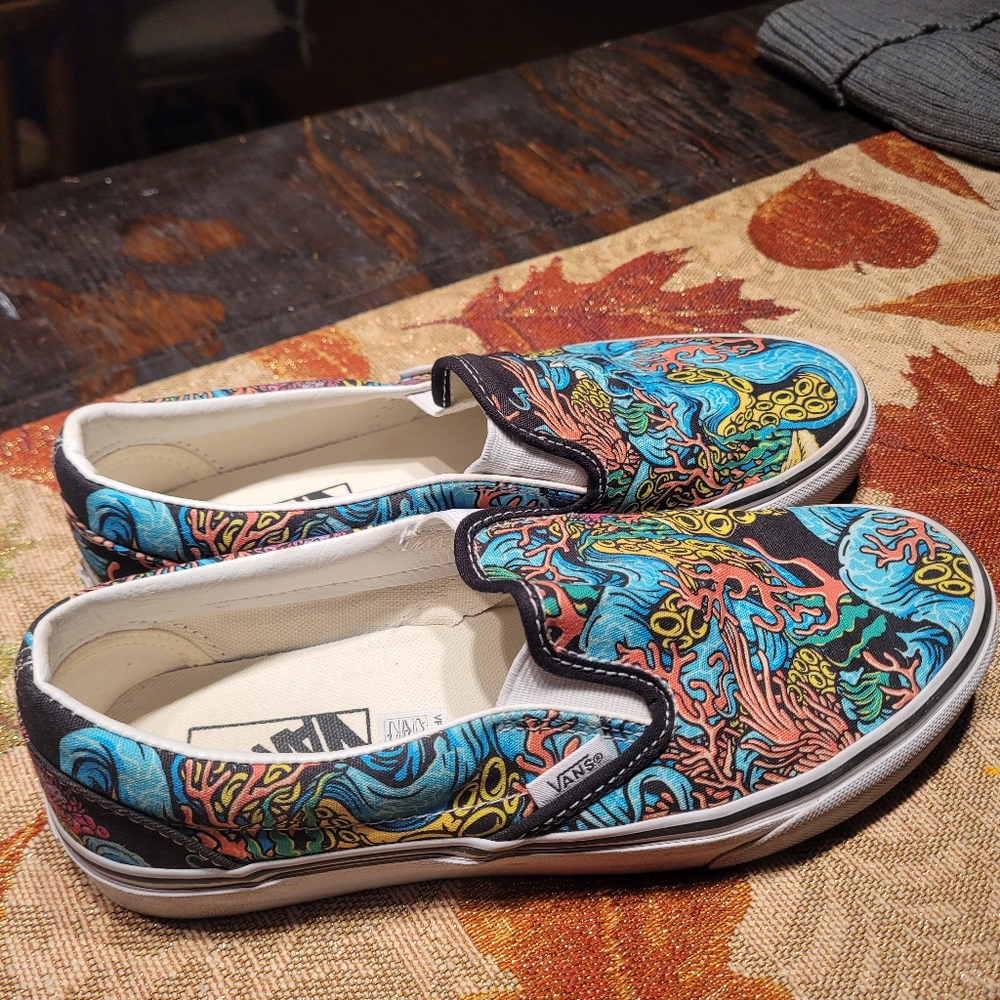 Vans slip on shoes